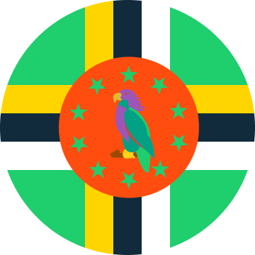 DM flag