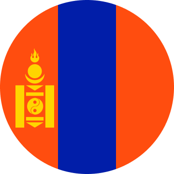 MN flag
