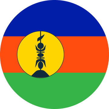 NC flag