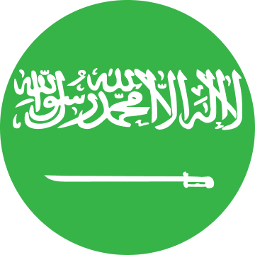 SA flag