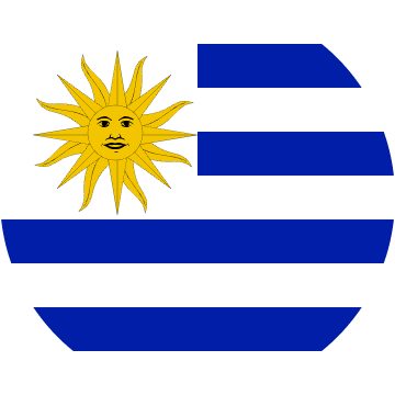 UY flag