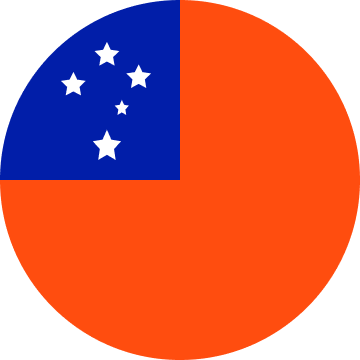 WS flag